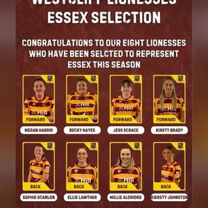 lionesses essex.jpg
