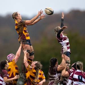 westcliff rfc lionesses welyn 07122025 -47.jpg