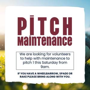 pitch.jpeg