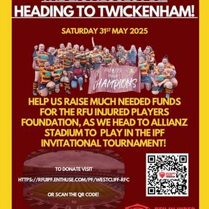 lionesses twickenham.jpg