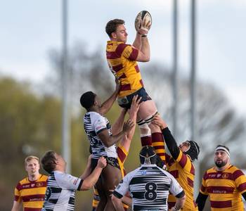 lineout.jpeg