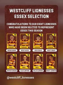 lionesses essex.jpg
