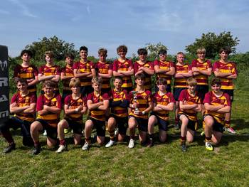 u14 lions.jpeg